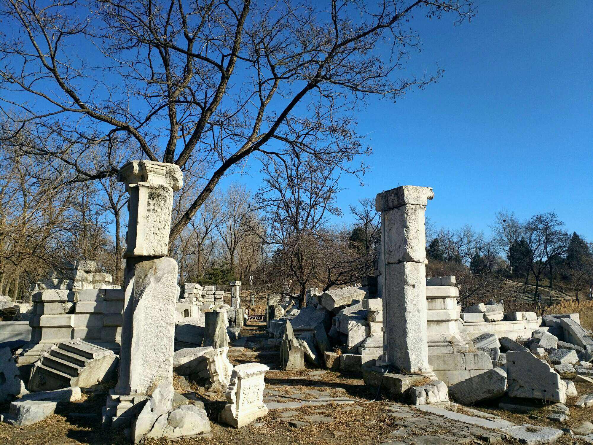 北京故地重游，国安不敌主队